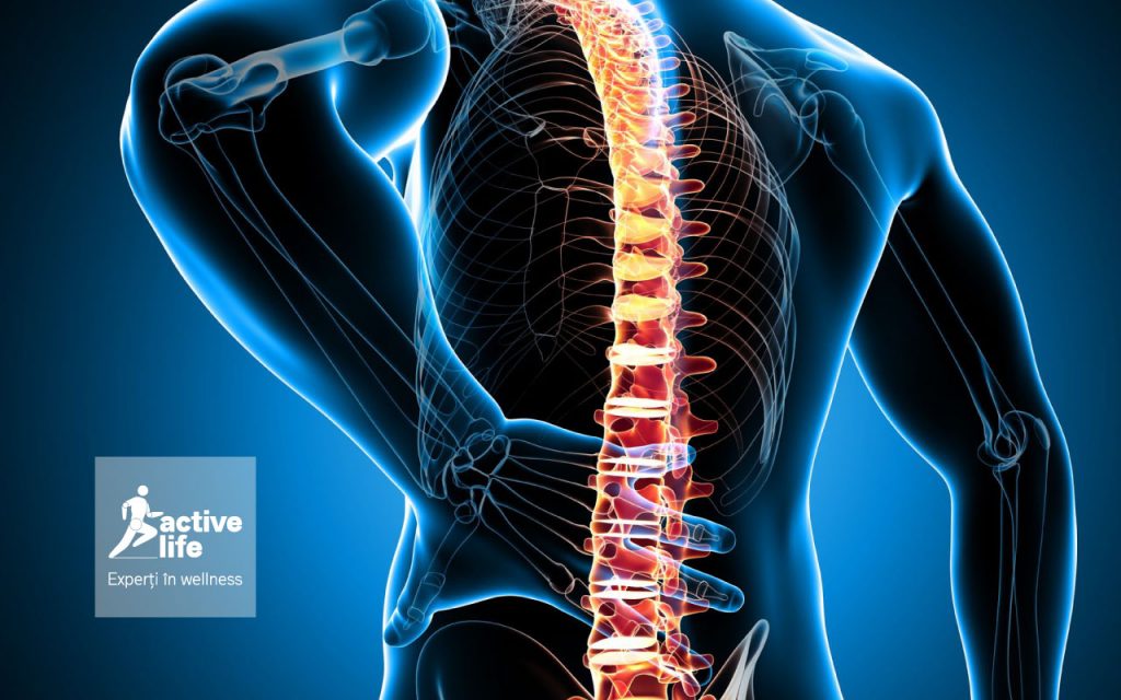 durere infernală a coloanei vertebrale durere chiar sub genunchi în interior